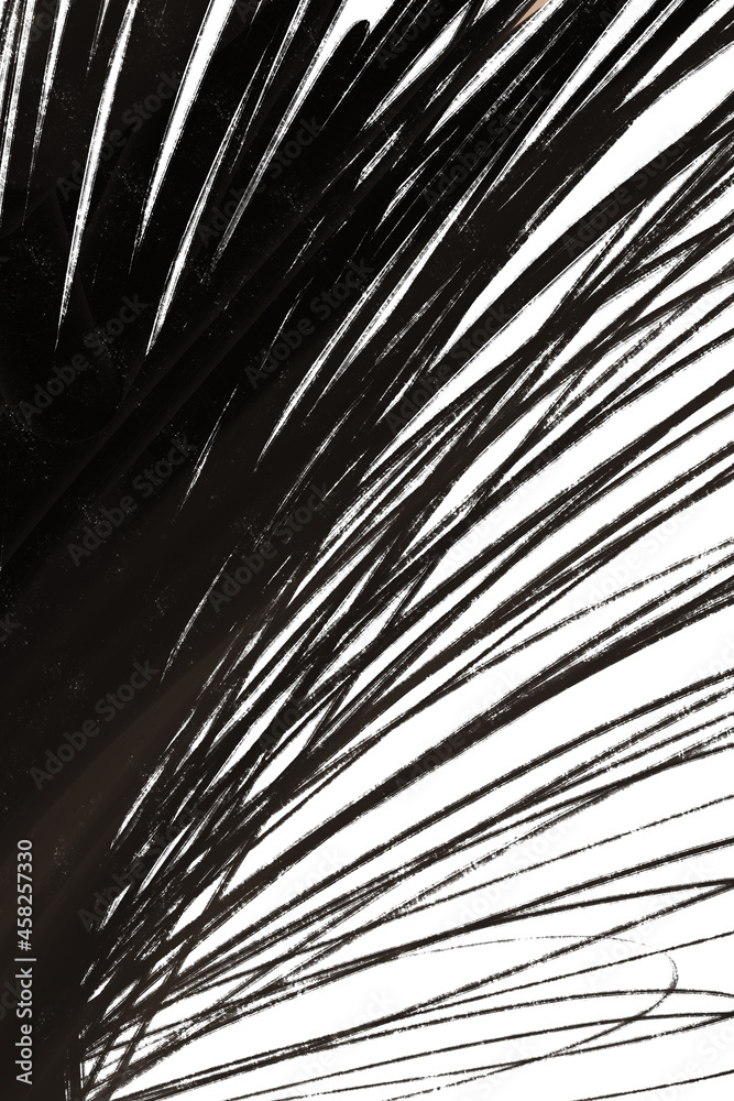 Obraz premium Abstract arrangements, elements, textures, modern print