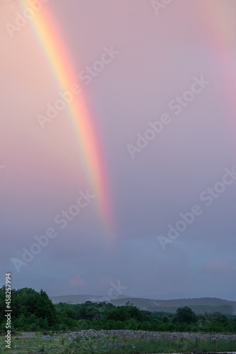 A large rainbow in the blue-pink sky over the mountains and forest. Evening after the rain.