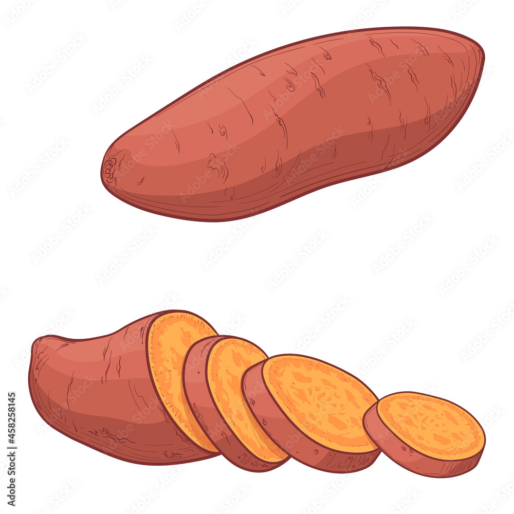 Sweet Potato Clip Art