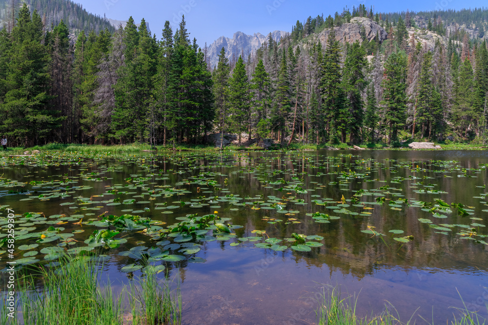 Obraz premium Nymph Lake in Rocky Mountain Nation Park in Colorado, USA