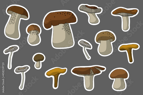Mushroom sticker pack. Drawn clip art set isolated