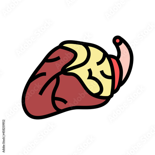 heart chicken color icon vector. heart chicken sign. isolated symbol illustration