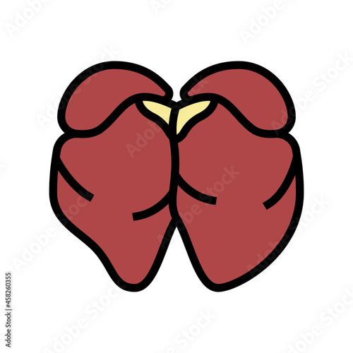 liver chicken color icon vector. liver chicken sign. isolated symbol illustration