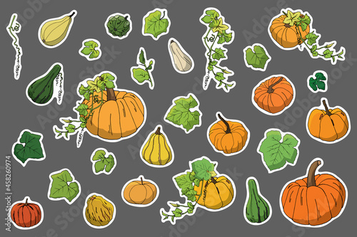 Bright drawn pumpkins sticker pack