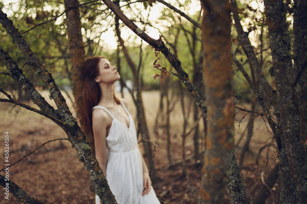 pretty woman in white dress in the forest near the trees rest pretty woman in white dress in the forest near the trees rest