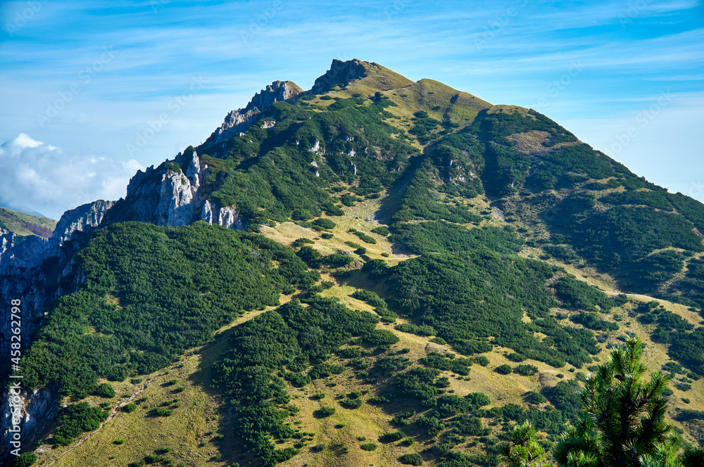summer panorama of mount Gramolon