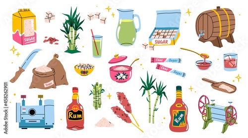 Cartoon sugarcane. Bamboo agriculture products. Sugar and rum manufacturing. Tropical cane plants with leaves and stems. Refined sweet pieces. Vector sweetener production elements set