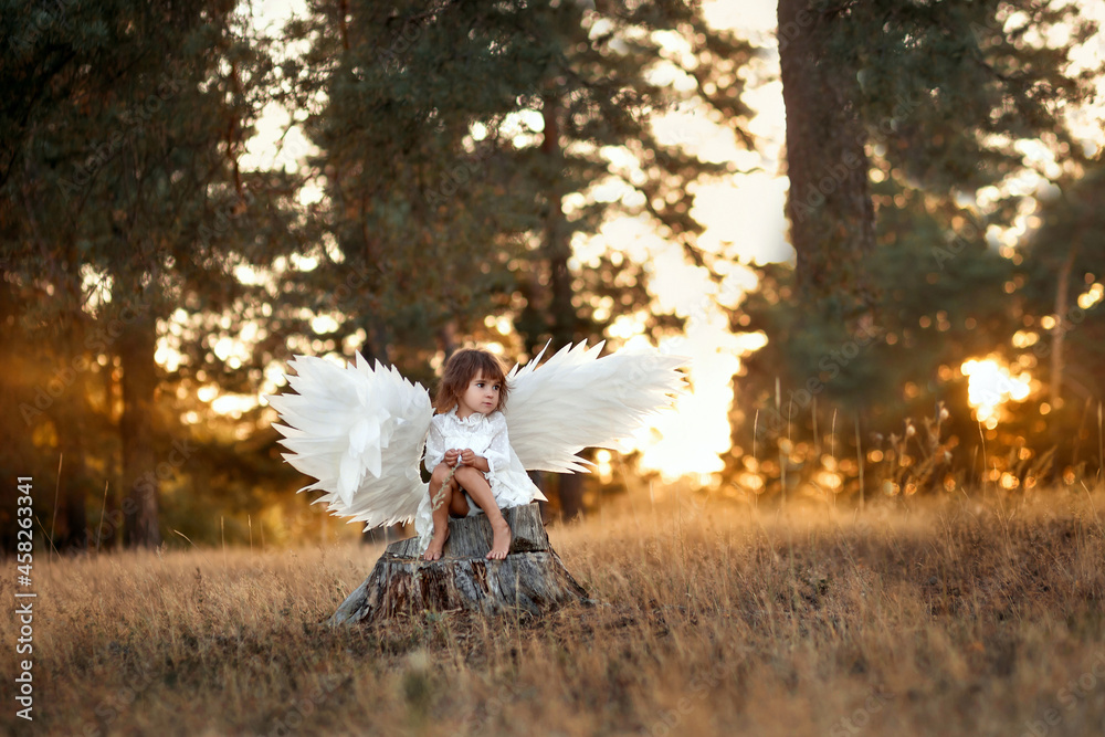 Cute little angel girl in white clothes, dress and wings, sits on a stump where the light of sunset, the sun's rays in the summer forest. Gentle, artistic image, photo, glare.