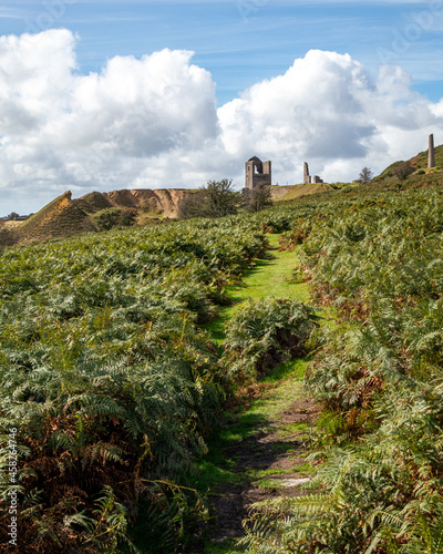 South Caradon Mines Bodmin Moor Cornwall photo