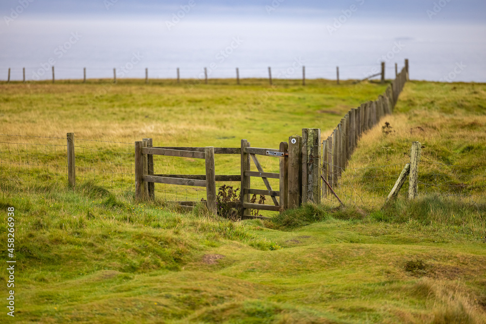 Fence in a field on the Scottish coastline