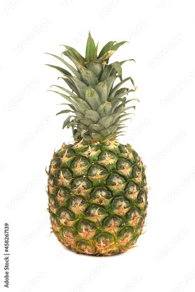 Fresh single Pineapple (Ananas comosus)