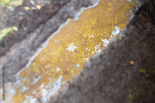 Mud and puddle in autumn. Reflection of a tree with yellowed leaves in the water. Blurred focus