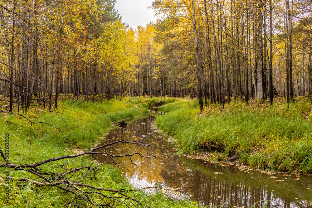 Fototapeta premium Autumn landscape.