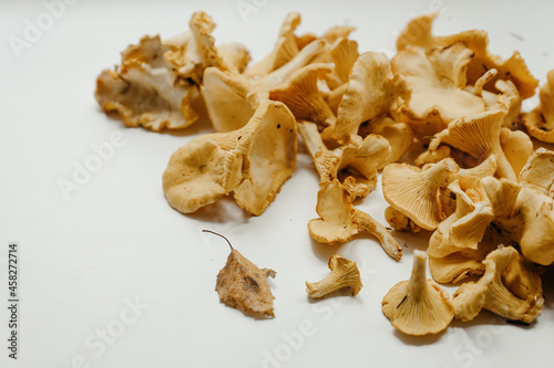 Organic Fresh chanterelle on white table. Raw mushrooms are ready for cooking. Food background.