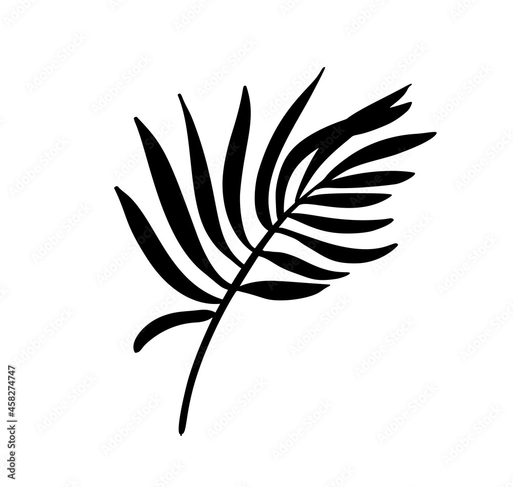 Modern Palm leaf vector abstrac illustration. Black and white silhouette. Isolated Exotic jungle contemporary trendy illustration. Perfect for boho posters, instagram posts, stickers