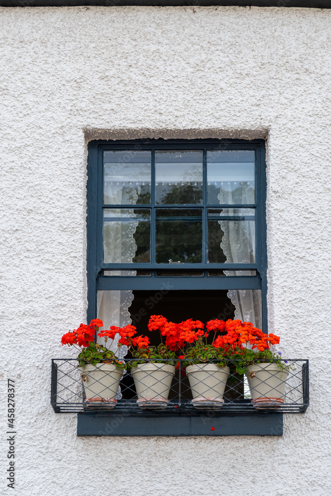 window with red flowers in pots