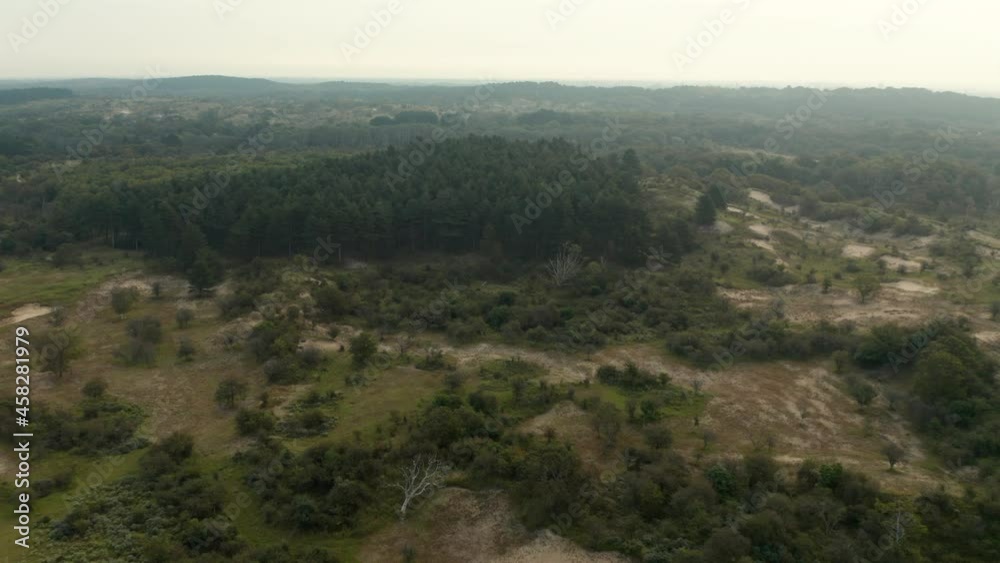 Thicket Forest On A Vast Conservation Area At Zuid-Kennemerland National Park In North Holland, Netherlands. Aerial Thicket Forest On A Vast Conservation Area At Zuid-Kennemerland National Park In North Holland, Netherlands. Aerial