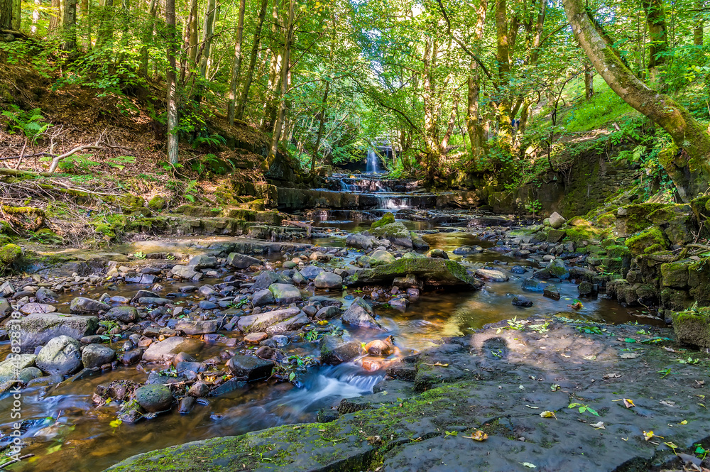A view towards Summerhill Force & Gibson's Cave on the Bowlees Beck in summertime A view towards Summerhill Force & Gibson's Cave on the Bowlees Beck in summertime