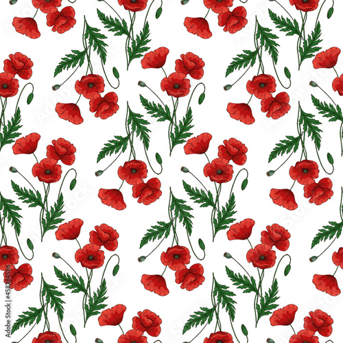 Seamless pattern with red poppy flowers. Papaver. Green stems and leaves. Hand drawn vector illustration. On white background.