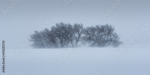 Snowy mountain with trees in blizzard