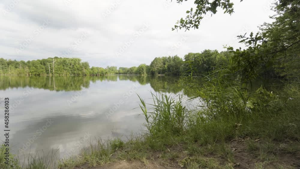 A lake surrounded by greenery in a rural area A lake surrounded by greenery in a rural area