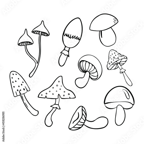 Doodle mushrooms. Black and white vector illustration on isolated background. © Olena