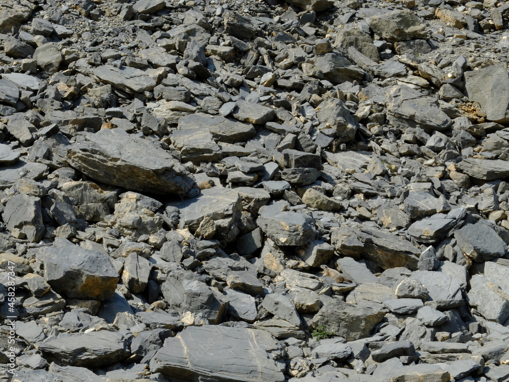 Obraz premium Lac du Lauzanier - Larche 04