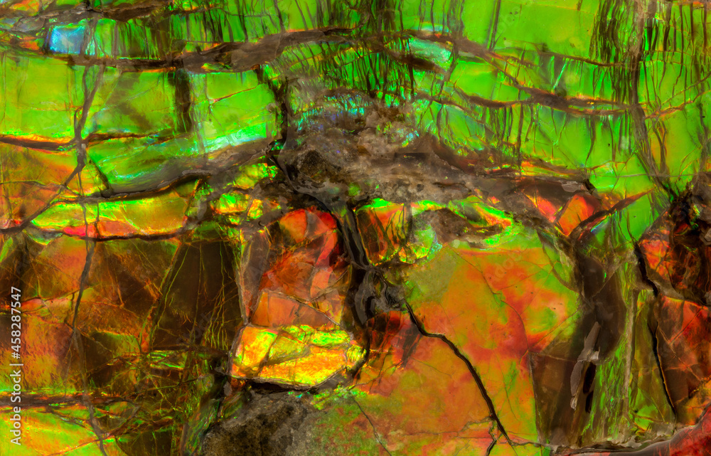 From above texture of Ammolite Fossil Stock Photo | Adobe Stock