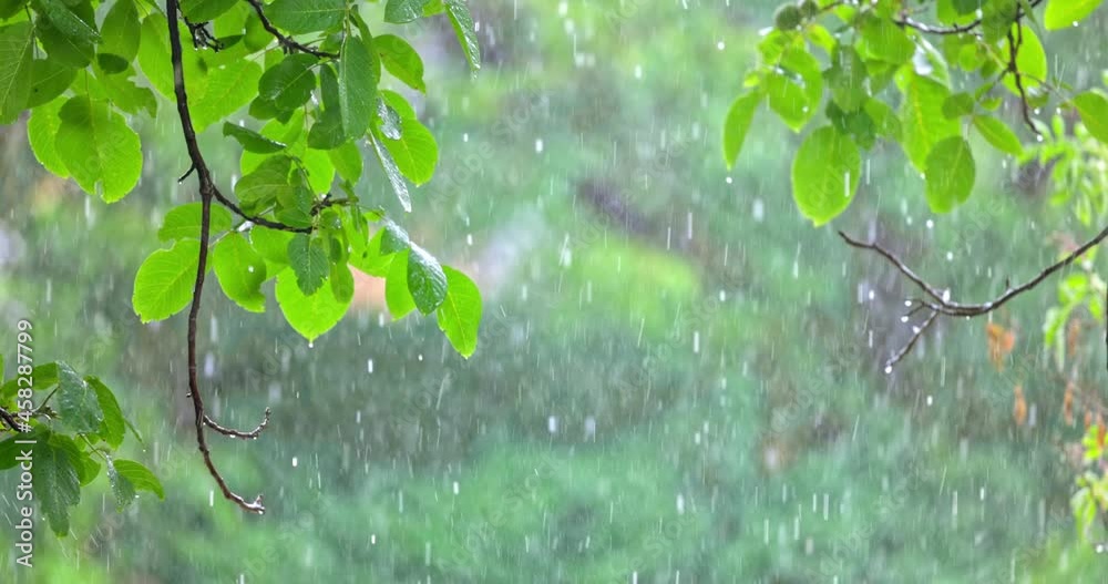 Heavy downpour with greenery slow motion footage