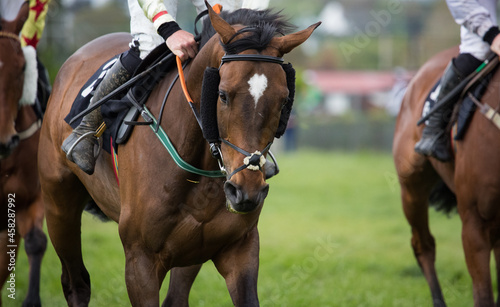 Close up of race horse galloping down the race track.