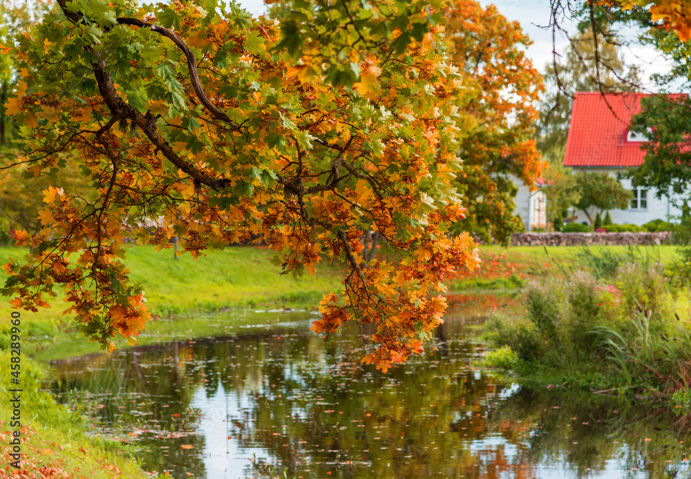 autumn autumn