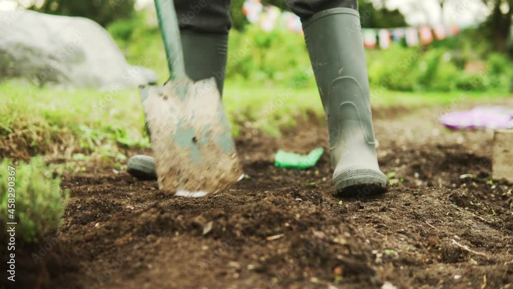 Close up of a shovel digging the soil in an allotment. Planting vegetable Close up of a shovel digging the soil in an allotment. Planting vegetable