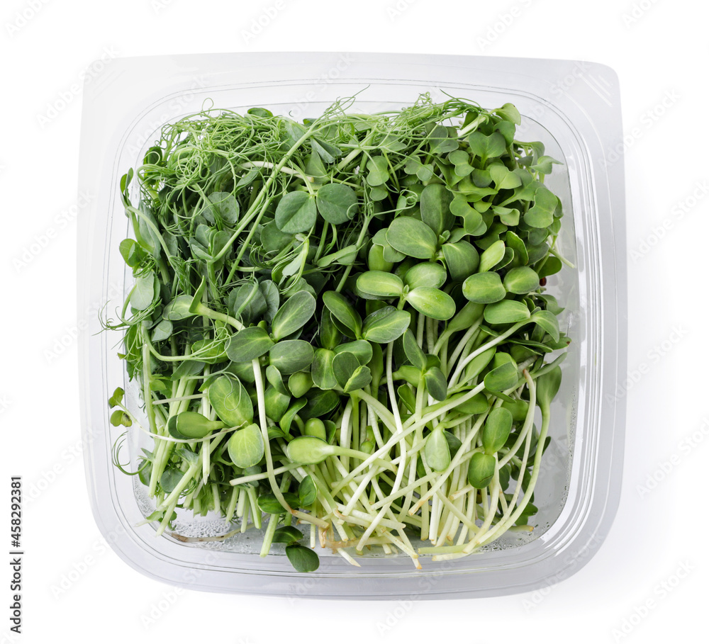 Microgreens in the package on a white background, isolated. Top view Microgreens in the package on a white background, isolated. Top view