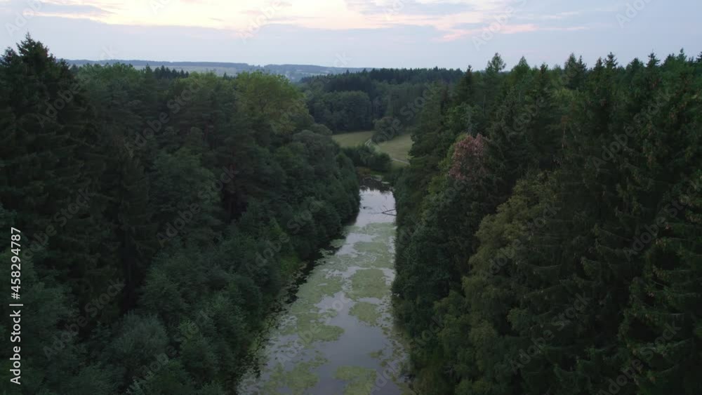 Drone shot of a canal or a stream dissecting a dense coniferous forest. Drone shot of a canal or a stream dissecting a dense coniferous forest.