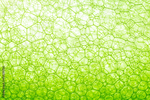 The close distance of the green bubble,Bubble, DNA, Drop, Liquid, Medicine,Foam Bubble from Soap or Shampoo Washing,Poland, Biochemistry, Biotechnology, Laboratory, Water