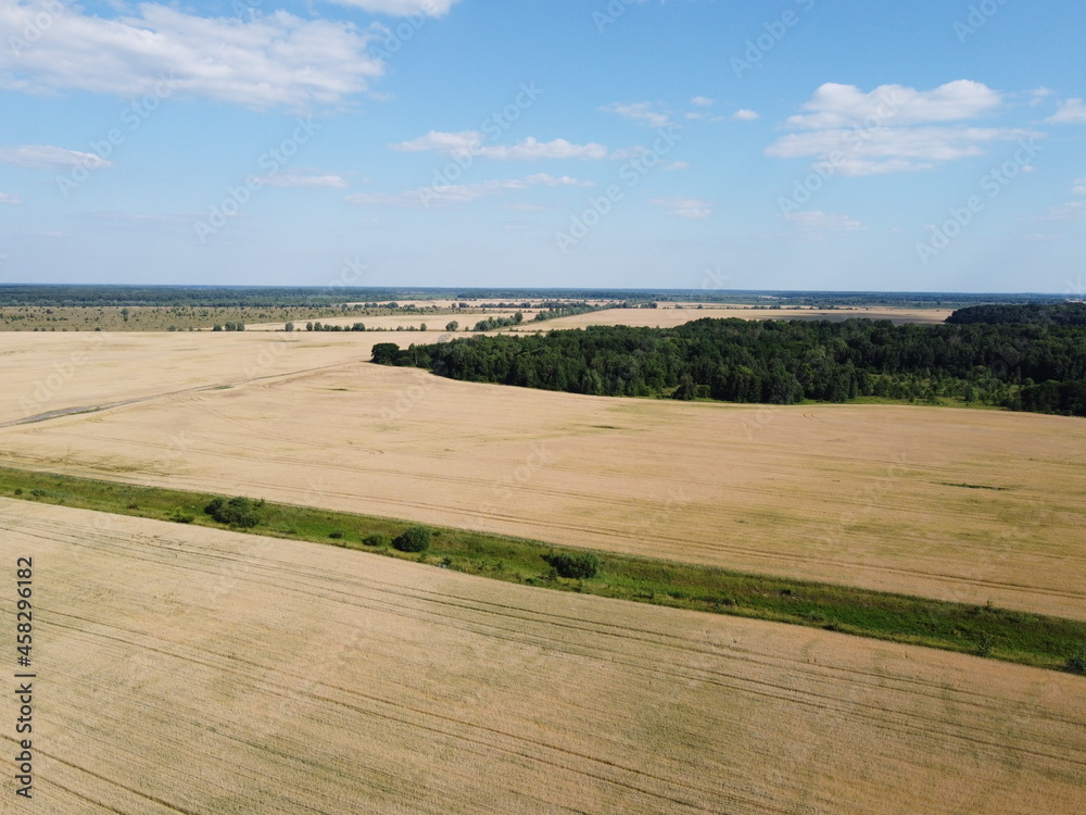 Obraz premium Breathtaking top view of agricultural area and cultivated fields in sunny day. Location place of Ukraine, Europe. Drone photography. Concept of agrarian industry.