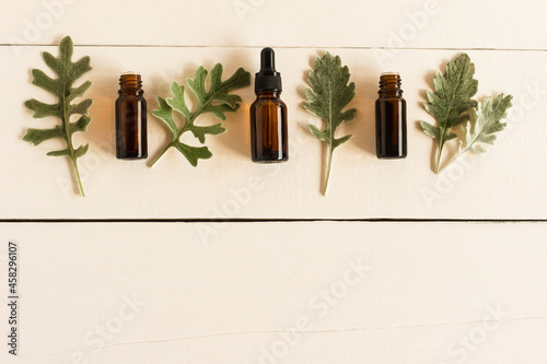essential aromatic oil with natural ingredients against the background of a white wooden table with gray leaves of plants. flat lay.