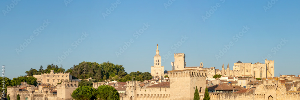 Beautiful view on th Avignon medieval city with historical walls and other touristic landmarks, France, Europe