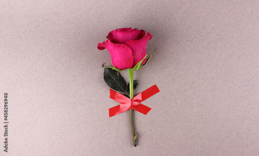 Pink rose glued to gray background with red electrical tape Pink rose glued to gray background with red electrical tape