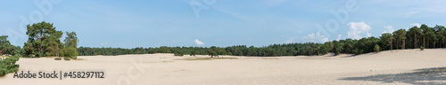 Vast panorama of sunny day with pine trees on the edge of the Soesterduinen sand dunes in The Netherlands. Unique Dutch natural phenomenon of sandbank drift plain. photo