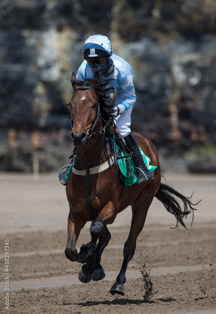 galloping race horse on the beach