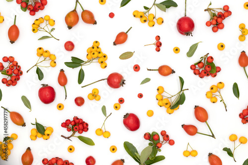 Top view, multicolored autumn and summer composition in yellow, red, orange colors of leaves, berries, flowers and seeds on a white background, pattern for design for thanksgiv