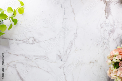 flowers and plant on marble background copy space