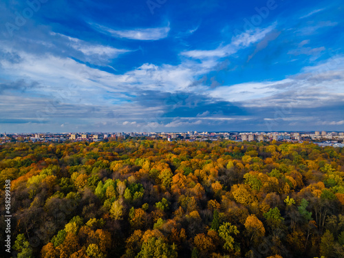 Road bend in the autumn falling golden trees background and city panorama in horizon