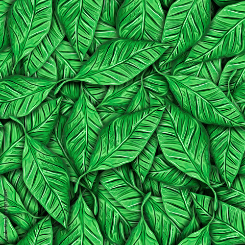 bright green leaf texture, tropical background, eco concept  © Valeriia