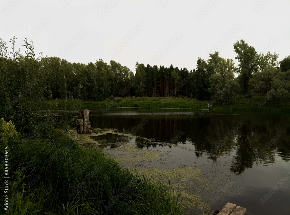 lake in the forest lake in the forest