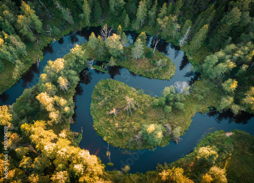 Tableau sur toile The river in the forest in the form of Yin and Yang loops
