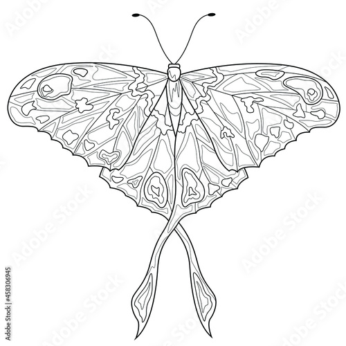Butterfly.Coloring book antistress for children and adults. Illustration isolated on white background.Zen-tangle style. Hand draw