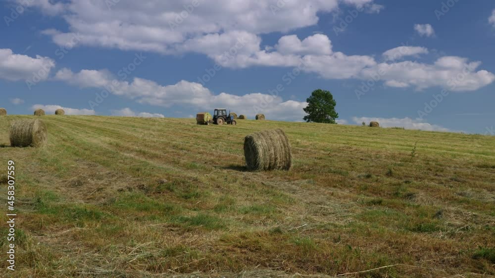 custom made wallpaper toronto digitalVideo shot of seasonal work, agricultural tractor, feed preparation, harvesting feed for farm animals 
