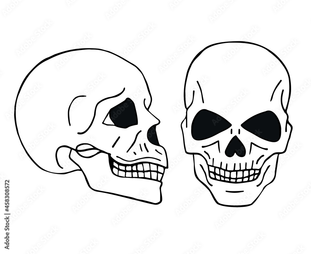 Fototapeta premium Vector hand drawn doodle sketch human skull isolated on white background